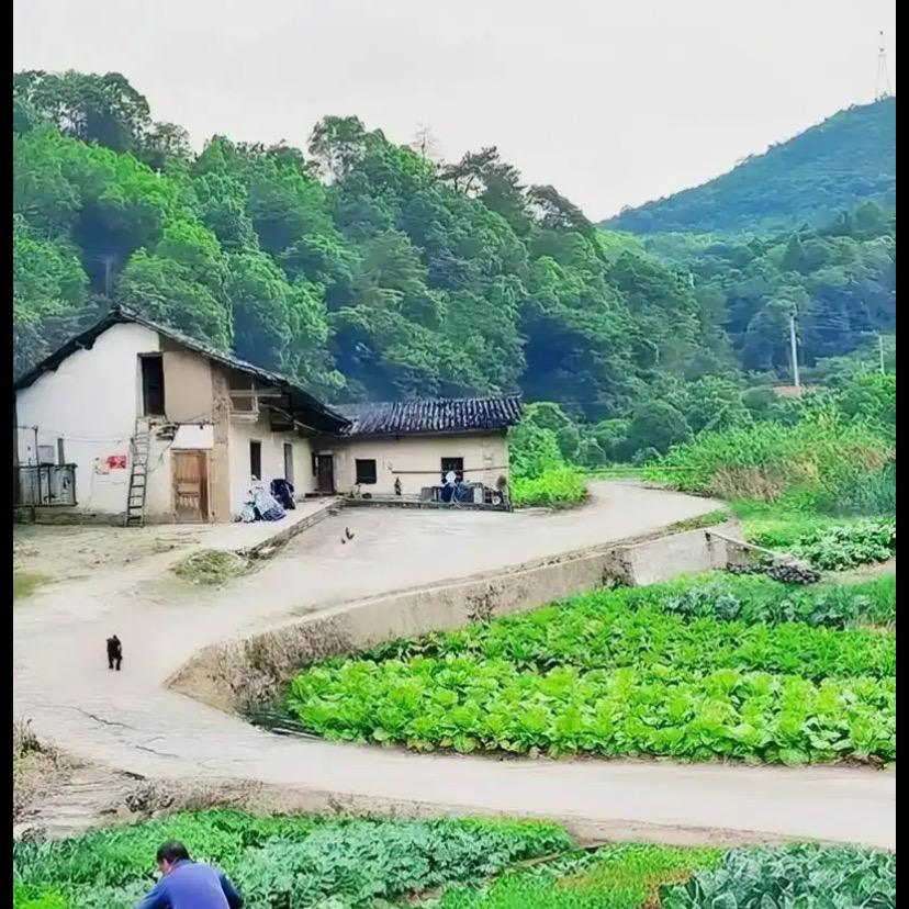 小王       同学