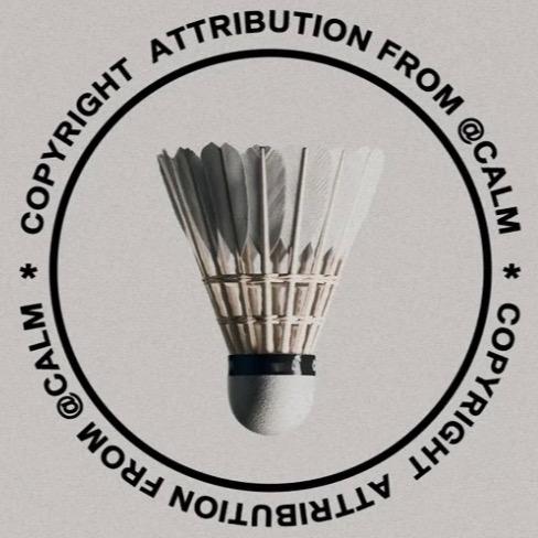 中羽-二点五🏸️