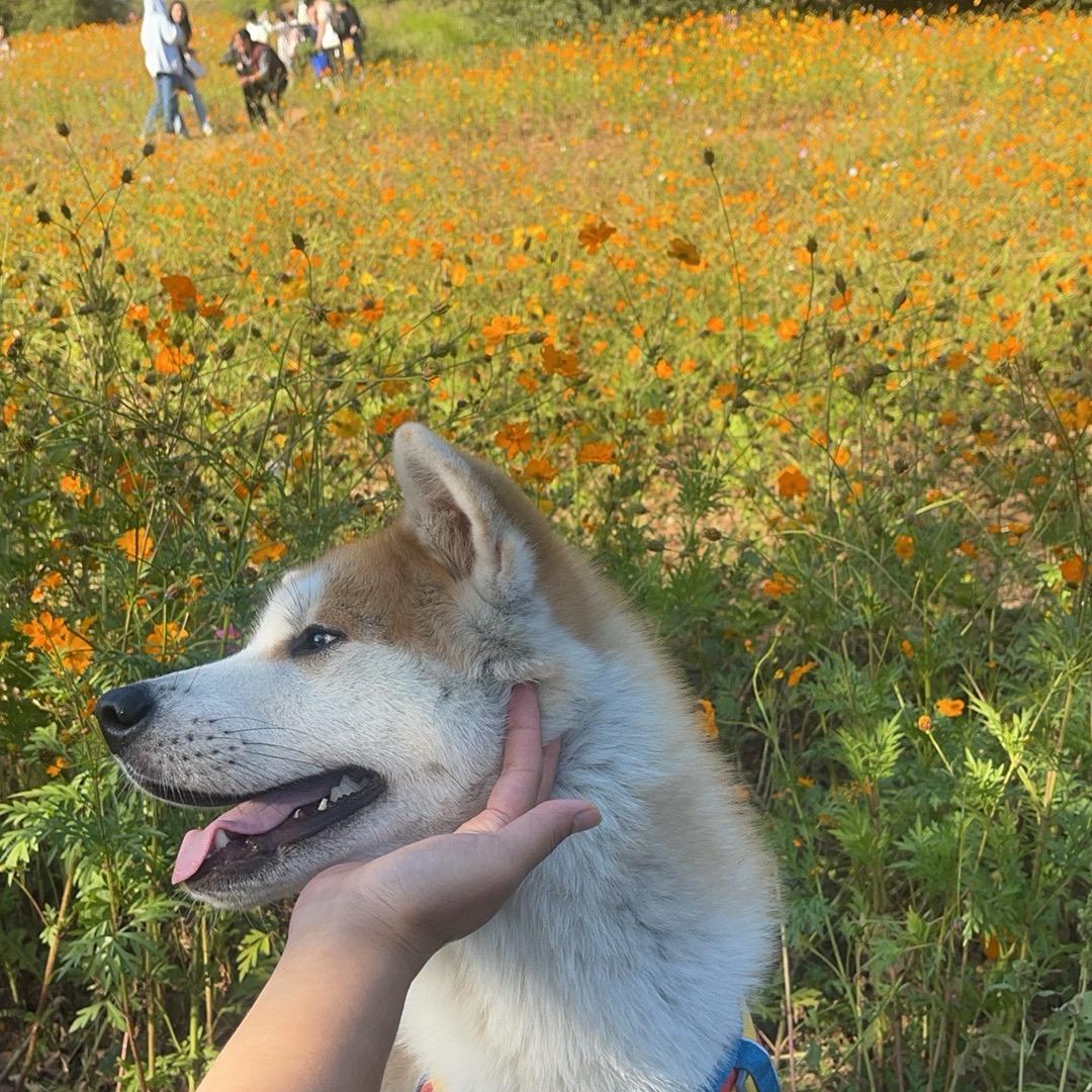 梦醒了我怪谁🍒