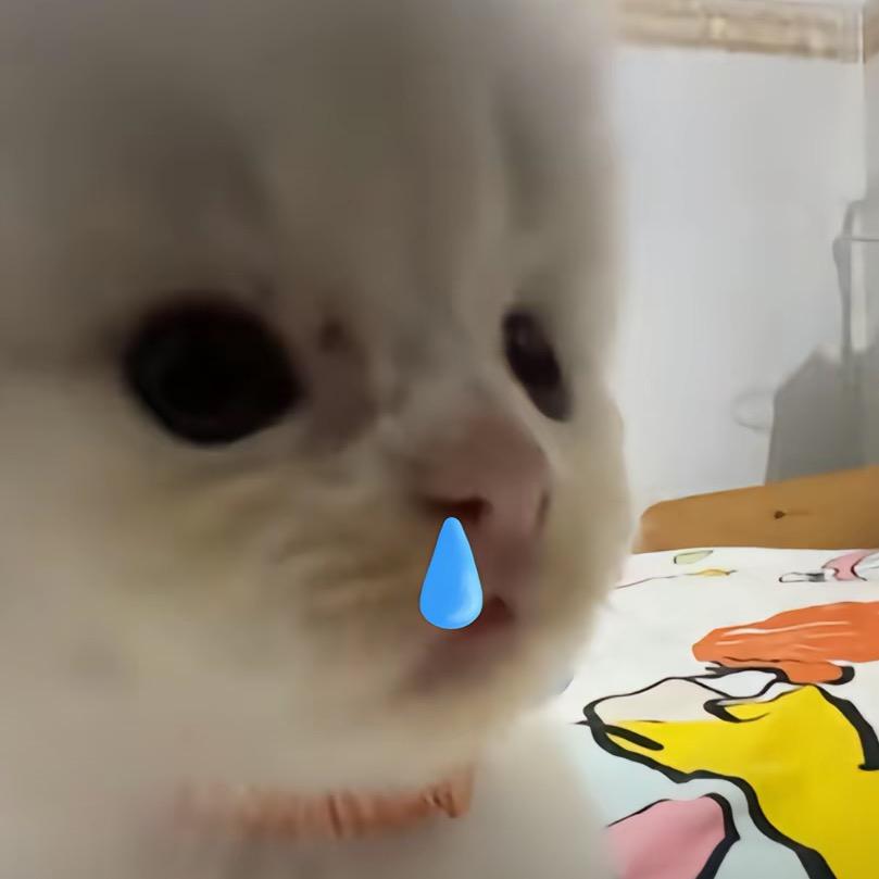 临