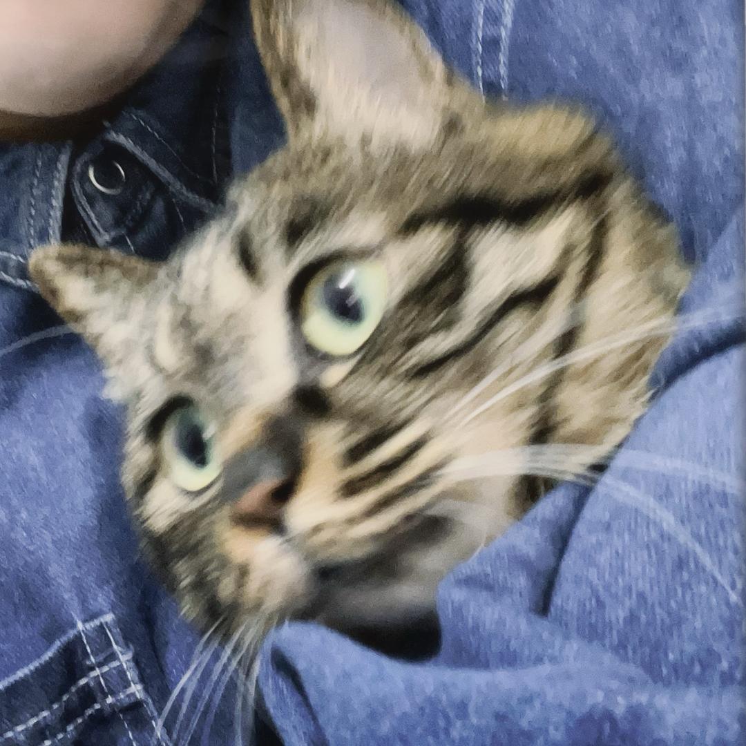 毛毛&贝里克的日常