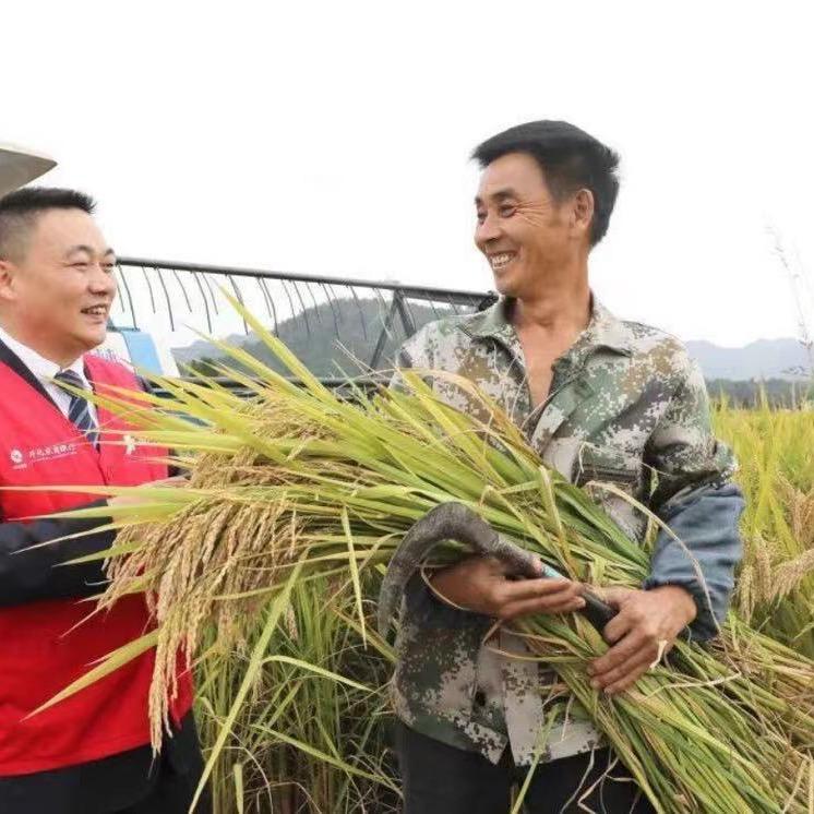 农业植保～老李