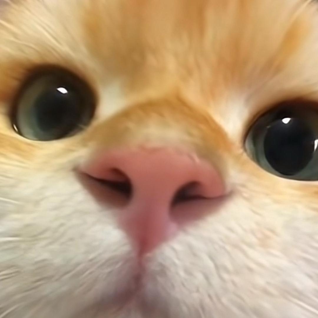 JPJ（三角洲行动)