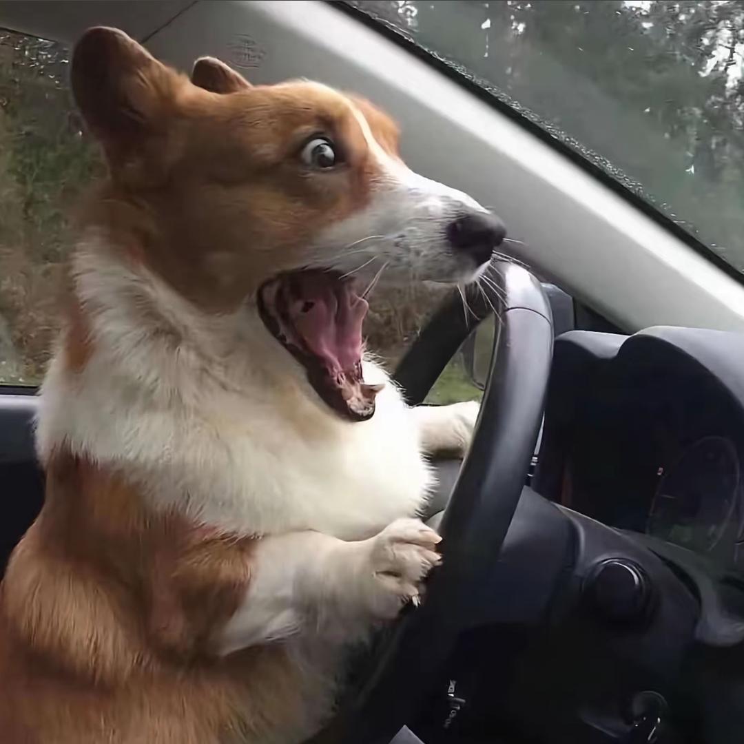 是华.