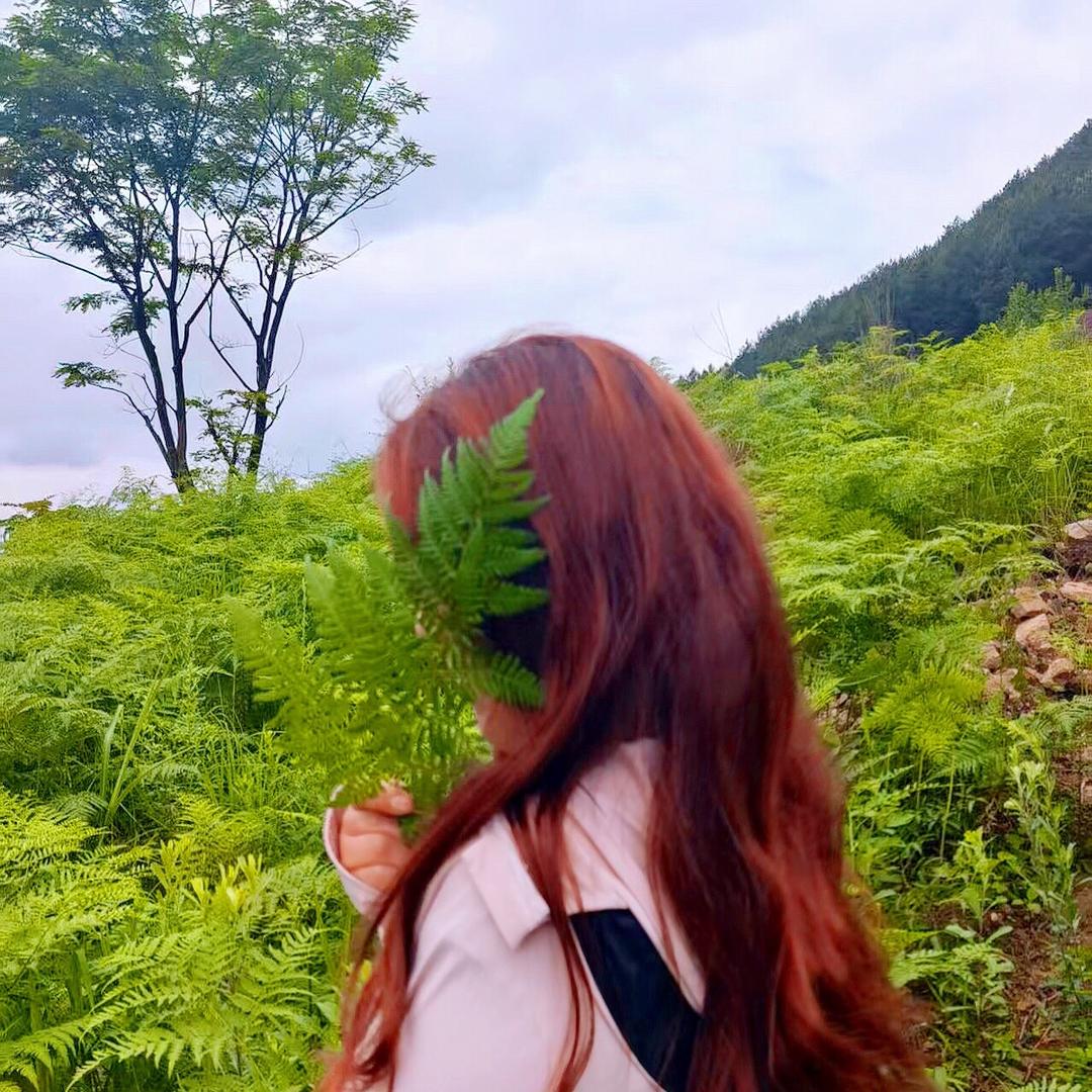 蕾蕾