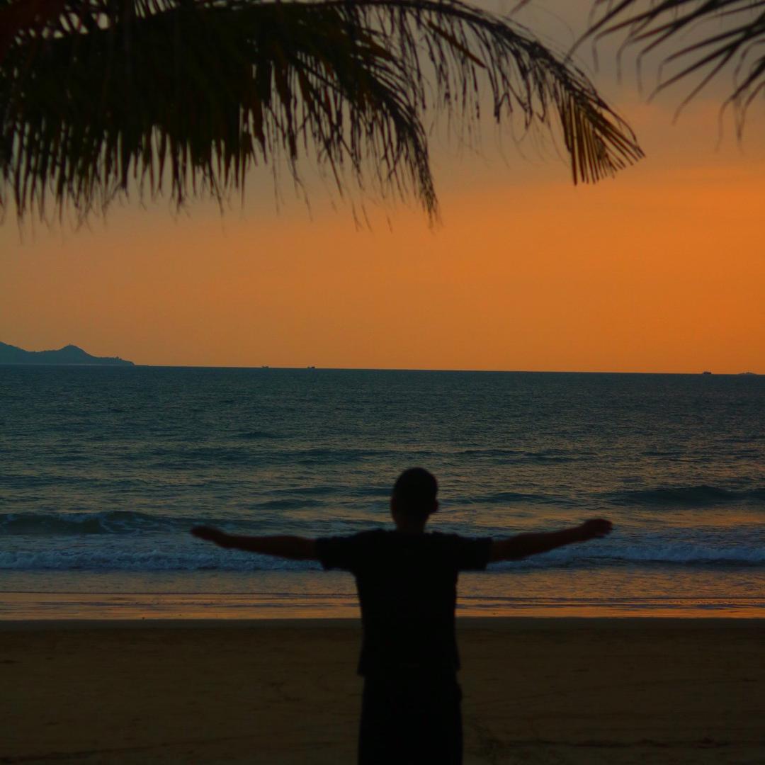 钒宁家的面包和爱情