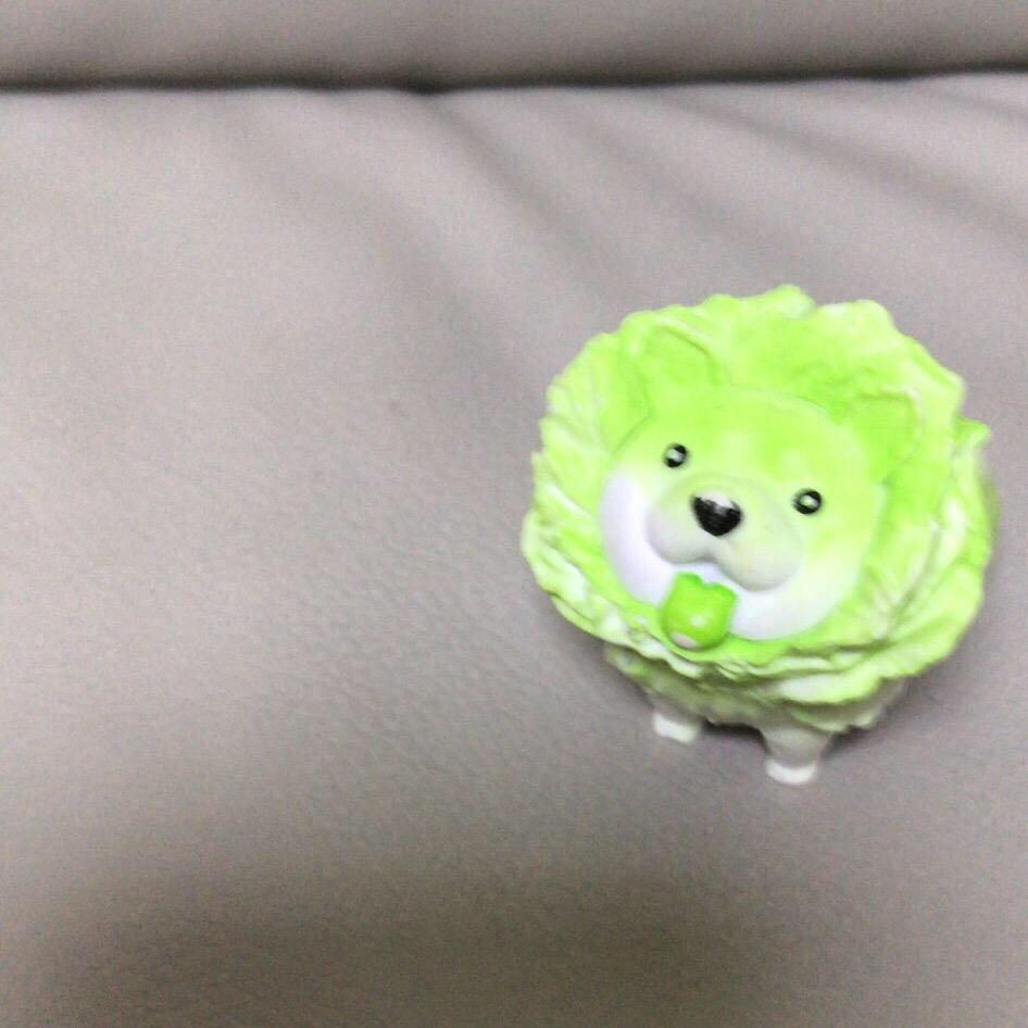 大元宝^_^