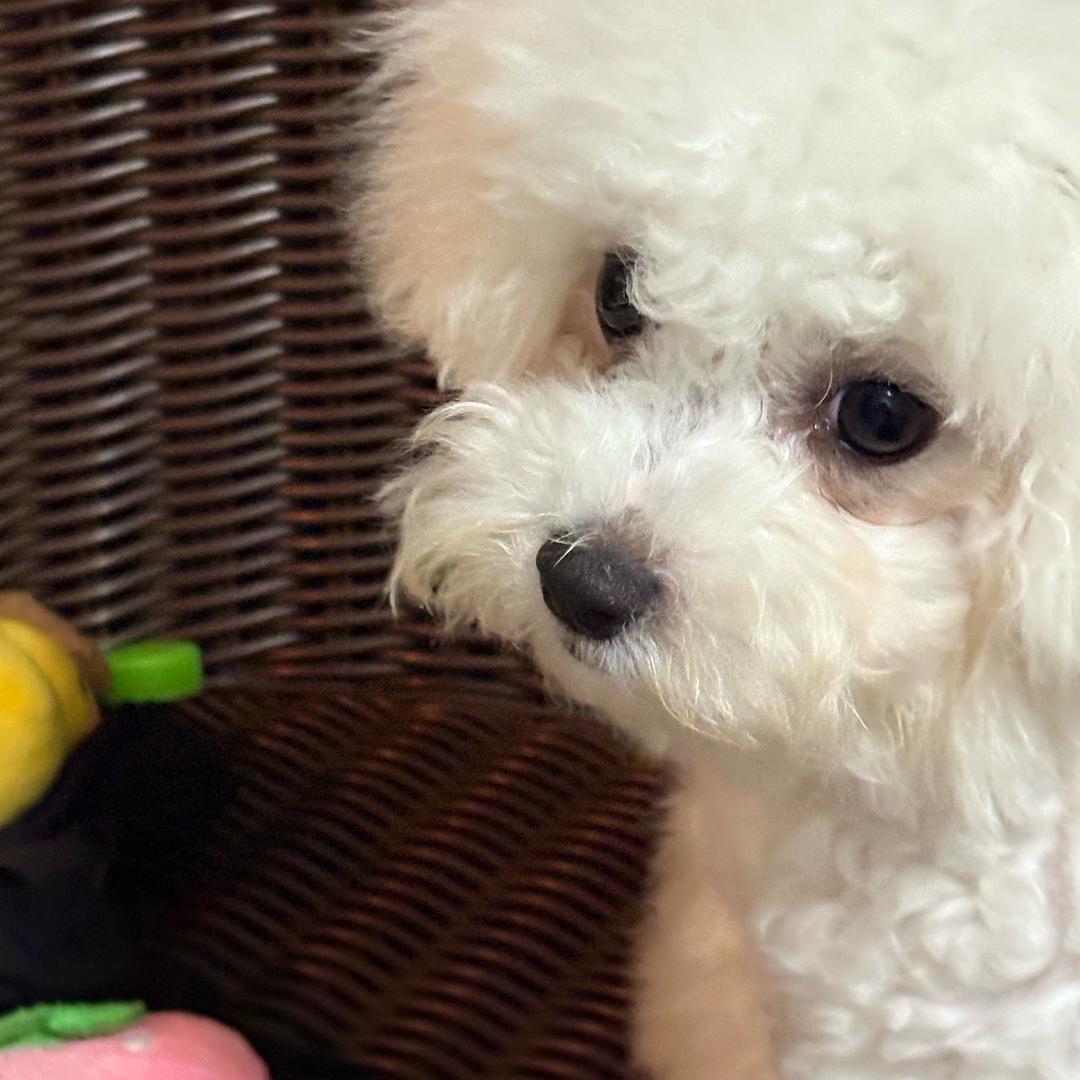 .ＤＵＮ🐾