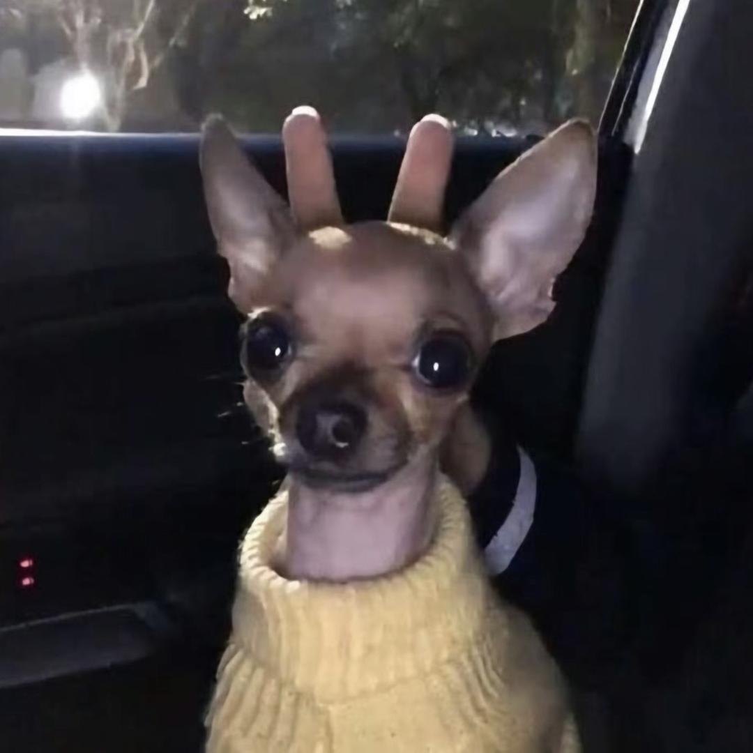 孩子咳嗽老不好