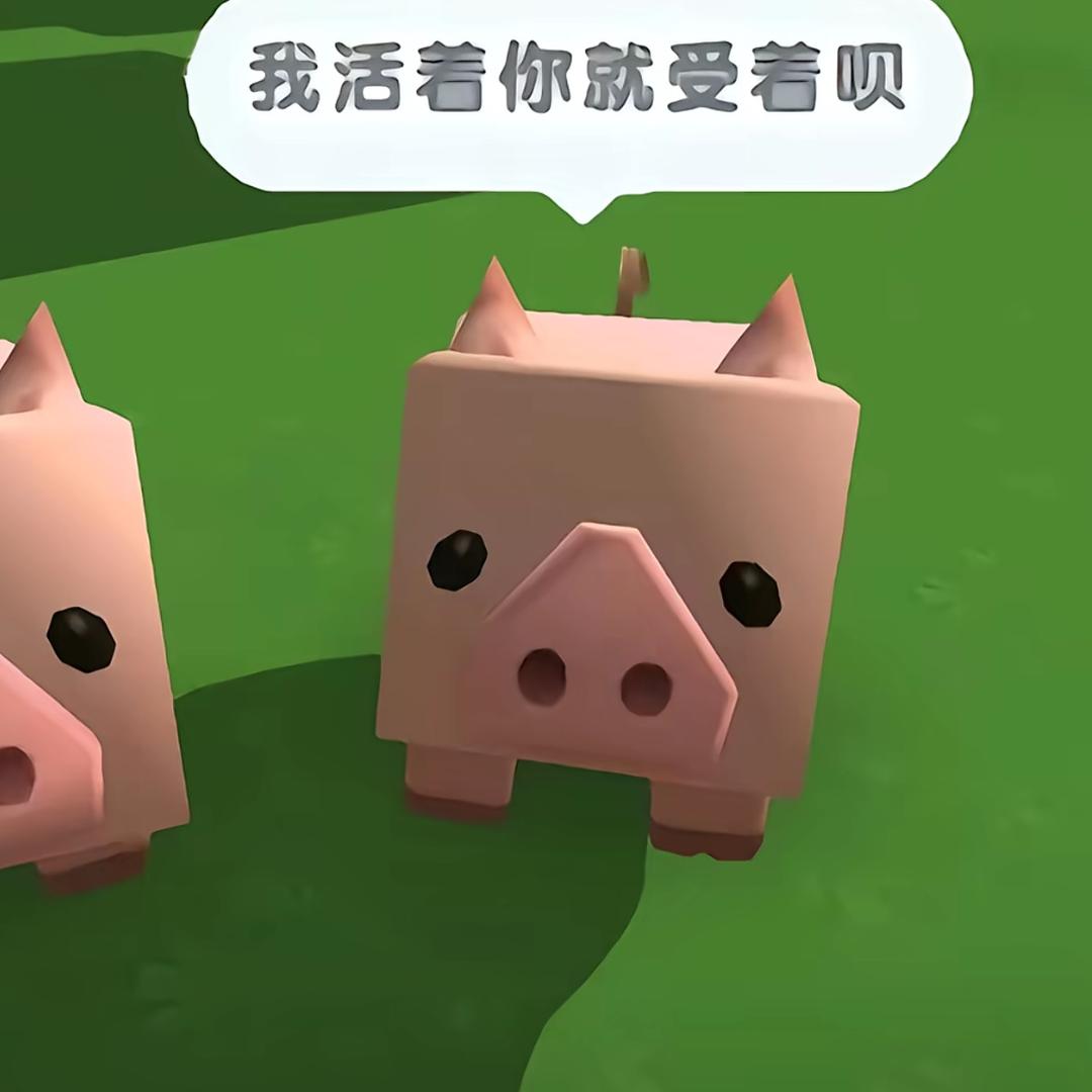 路小雨