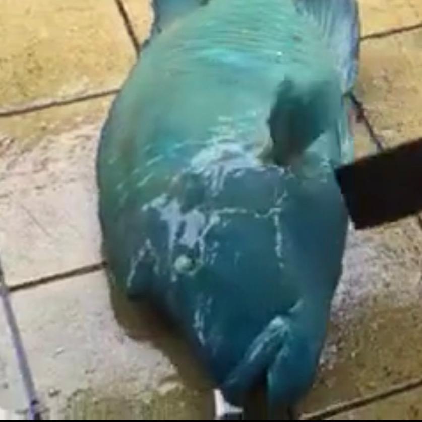 渔珀海鲜