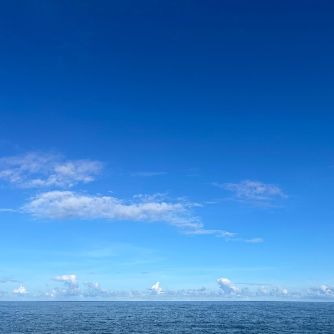 茶N代（梅家坞春茶季版）