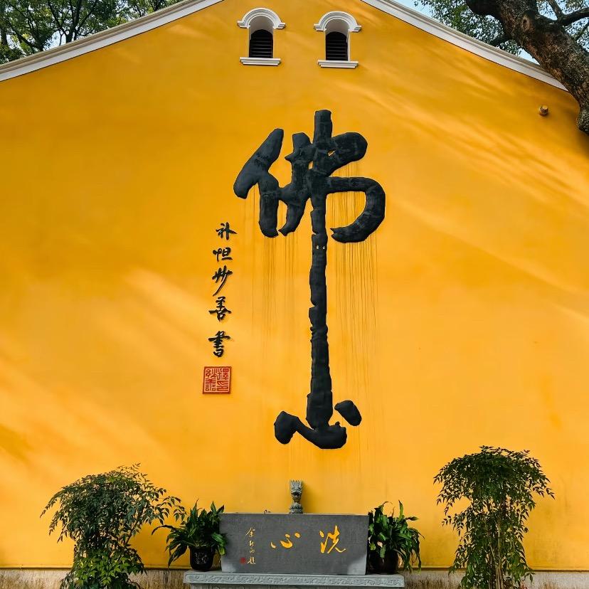 归屿