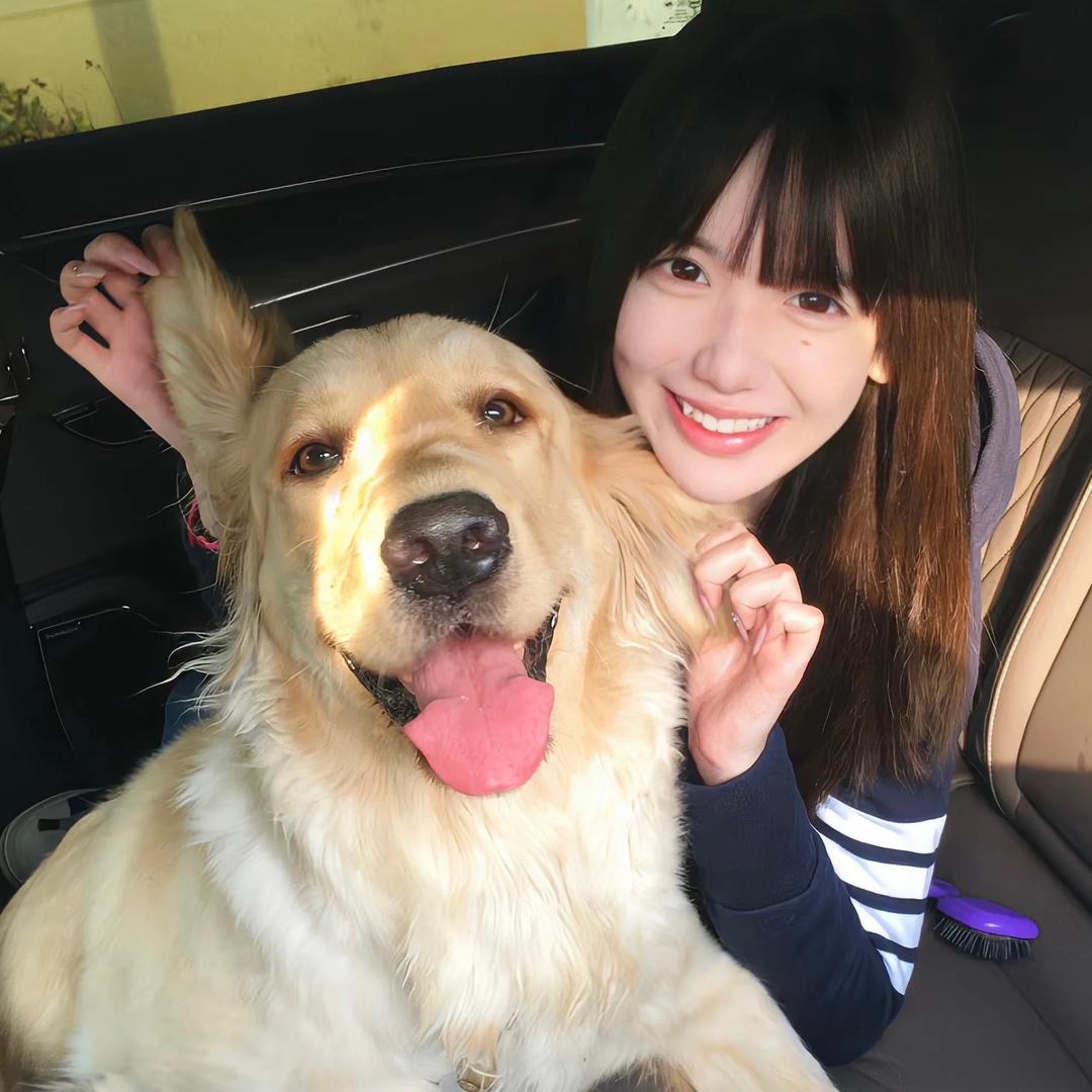 云淡风轻。