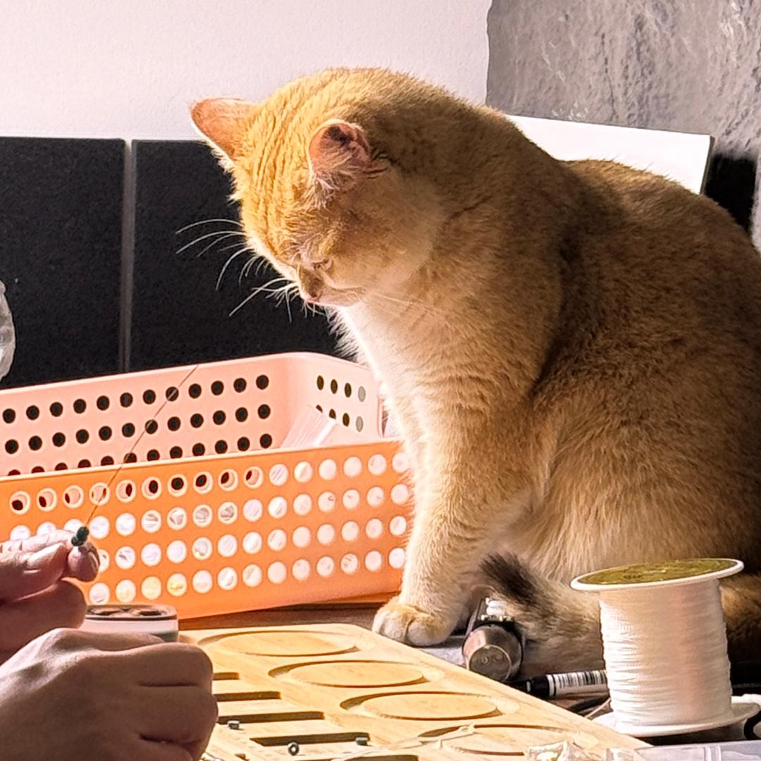 迟锐大侄子文玩精品