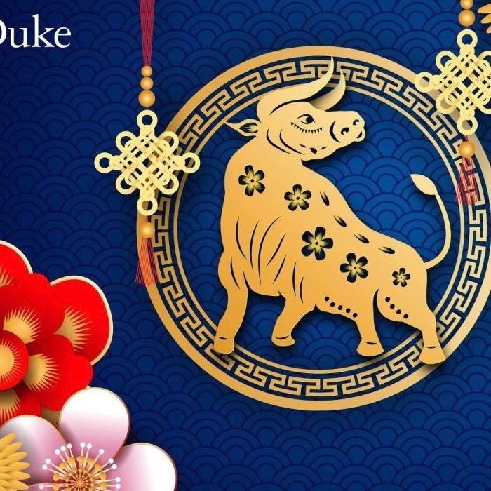 确定的少数派报告