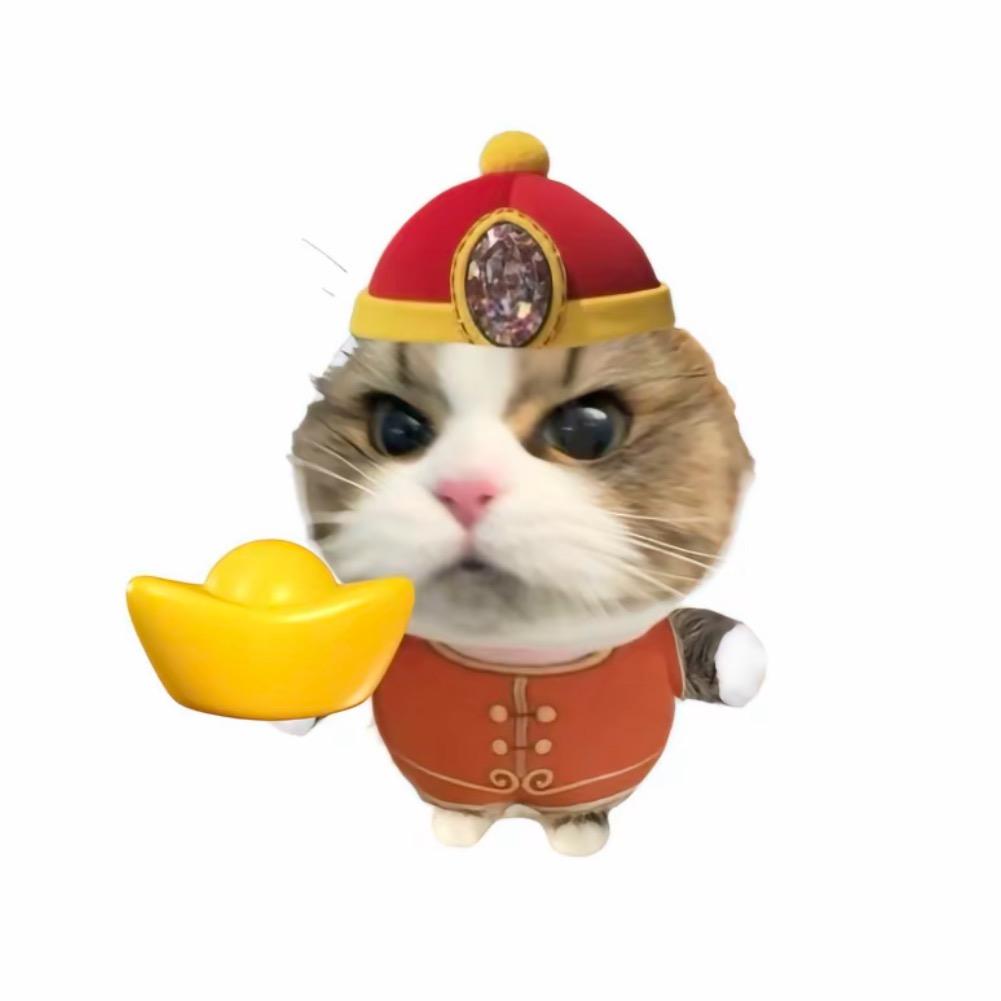 养只猫.