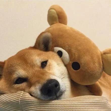 先生今晚不回家