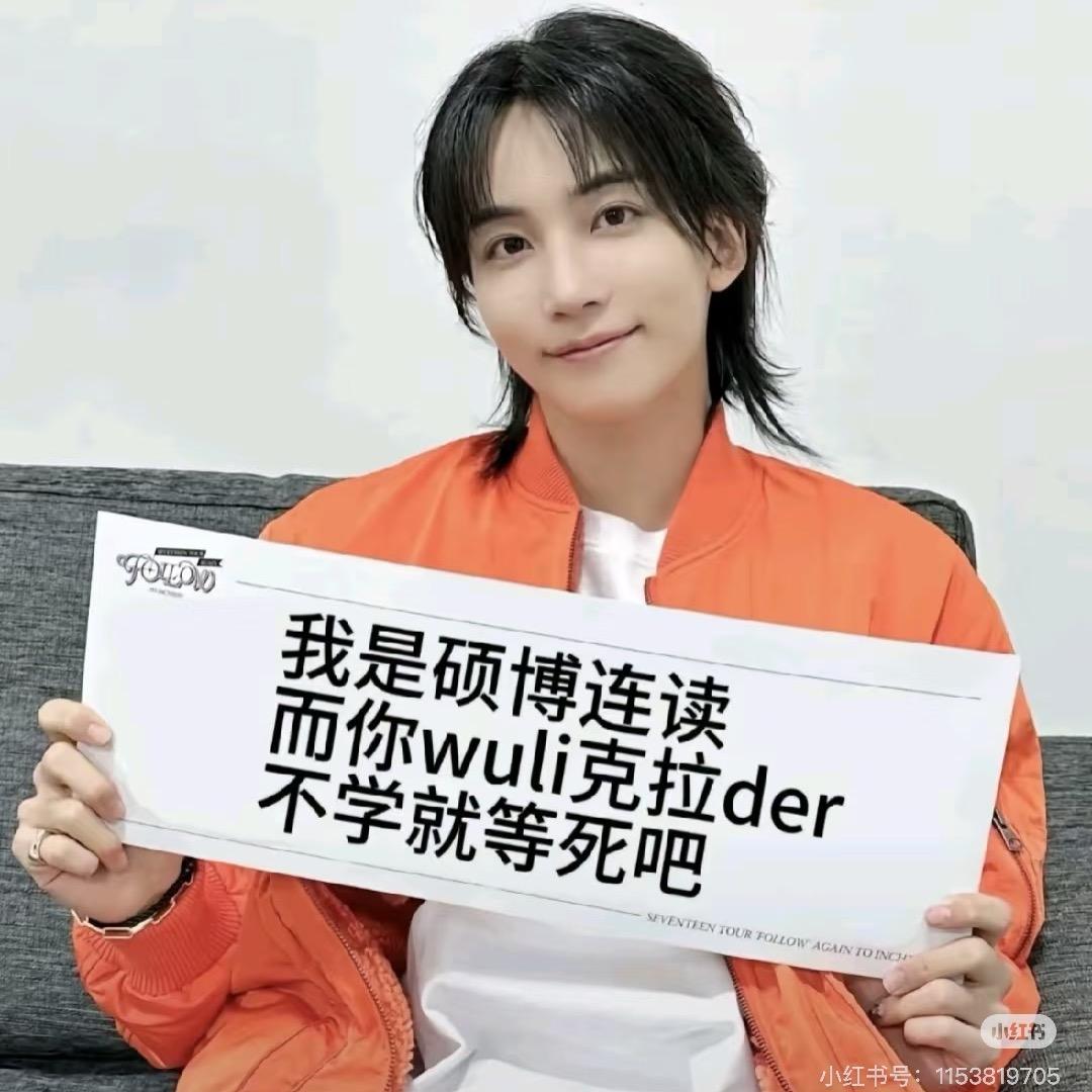 哈尼bunny
