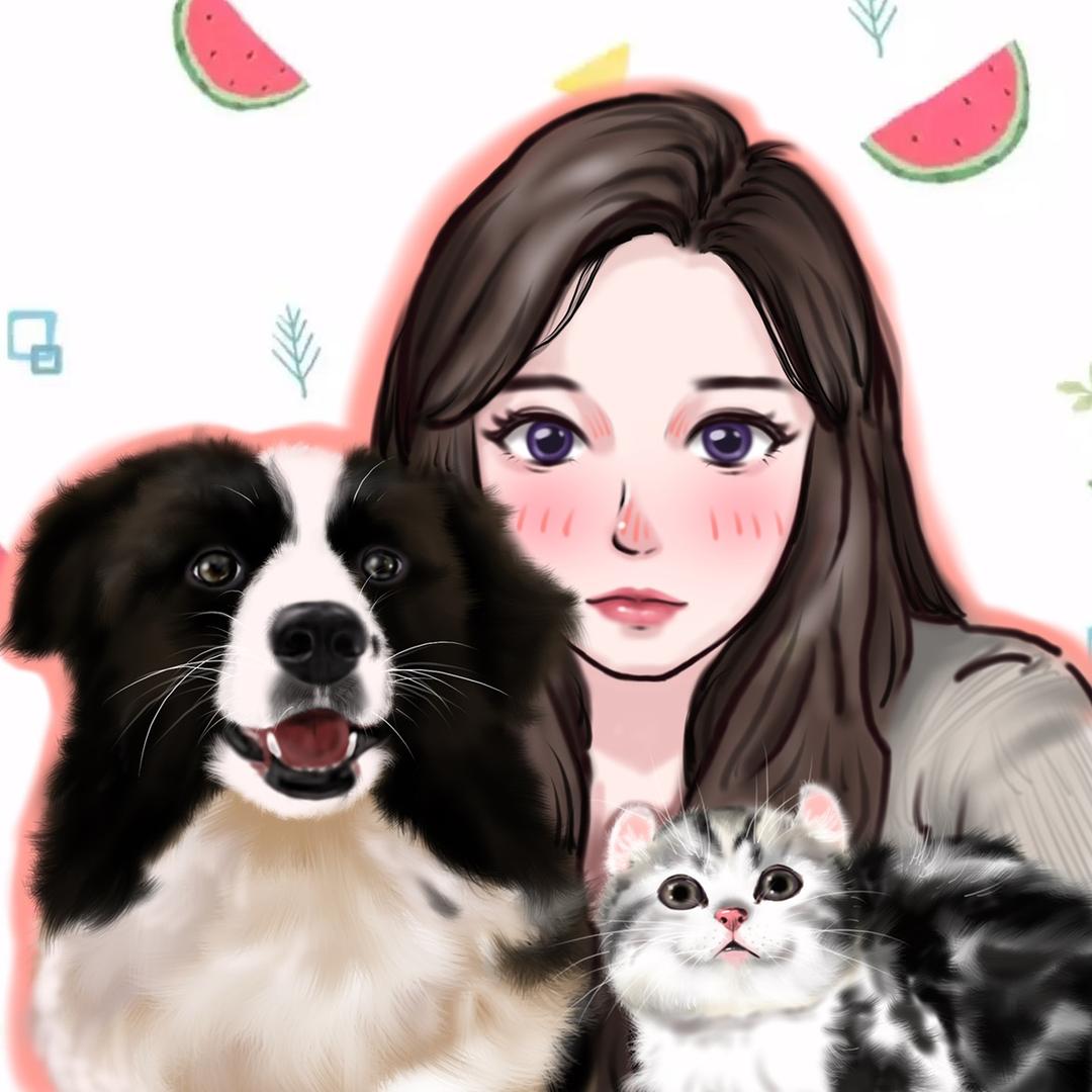 边牧糖球🐶