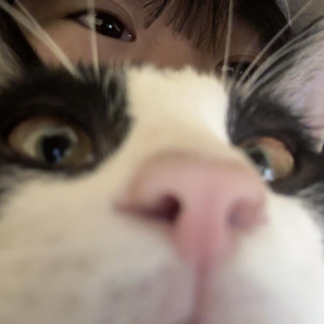 项少