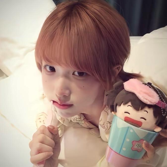 困困鱼