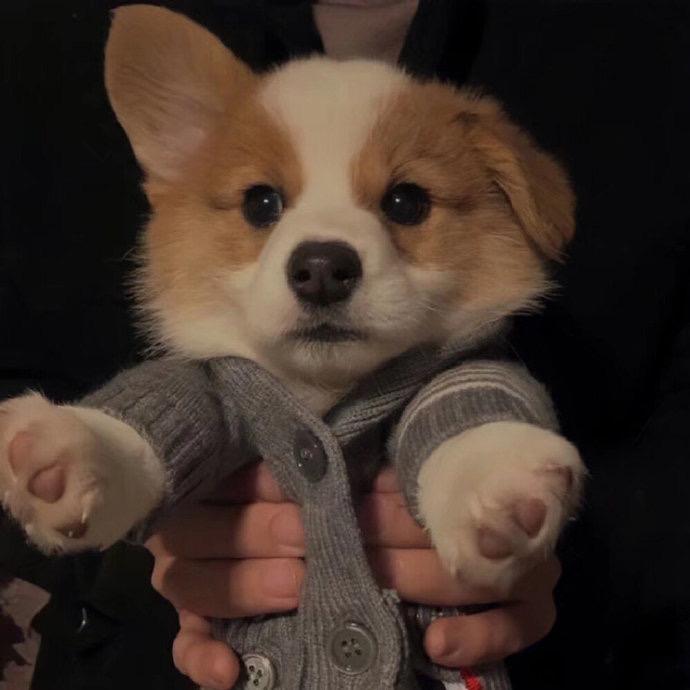 凌