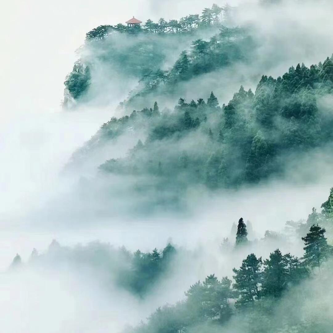 石石来运转