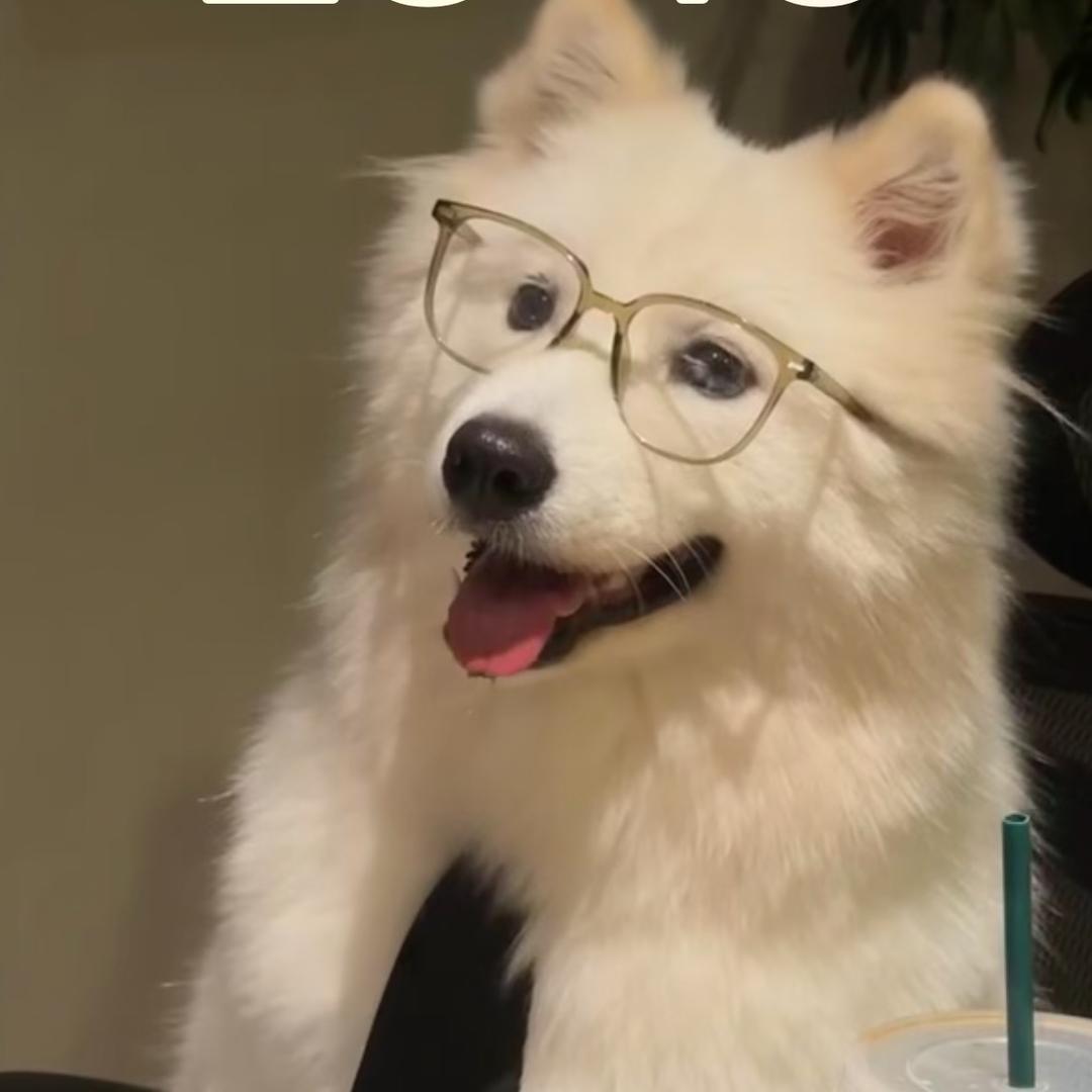 莫莫