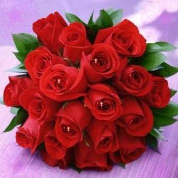 喜洋洋🐑🌹