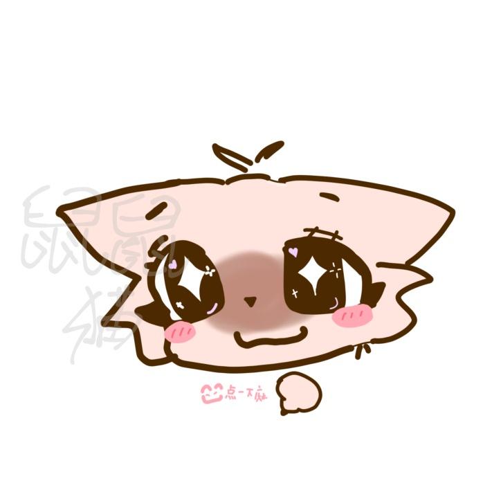 鼠鼠猫