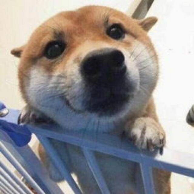 删佉丶 記憶 ㄣ