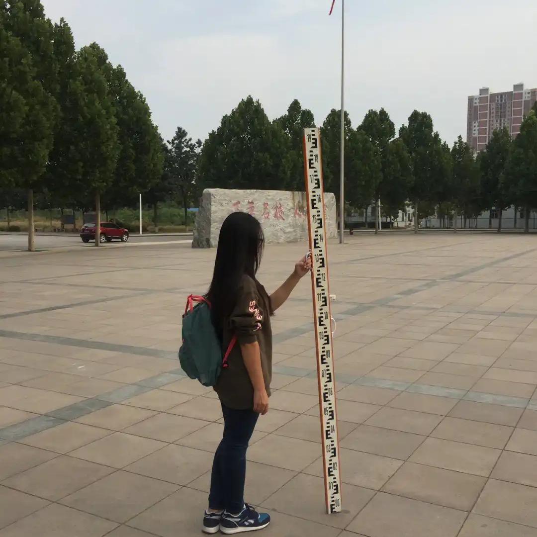 叶子质量优选