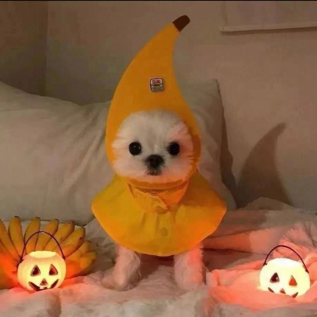 清甜的乌苏