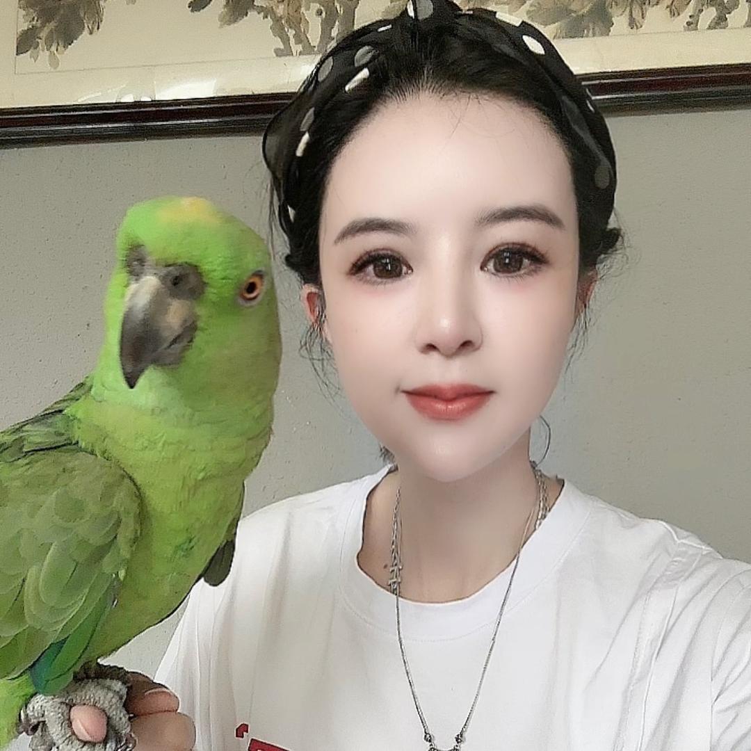 鹦宠之家小七