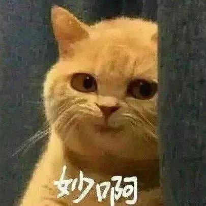 胡小