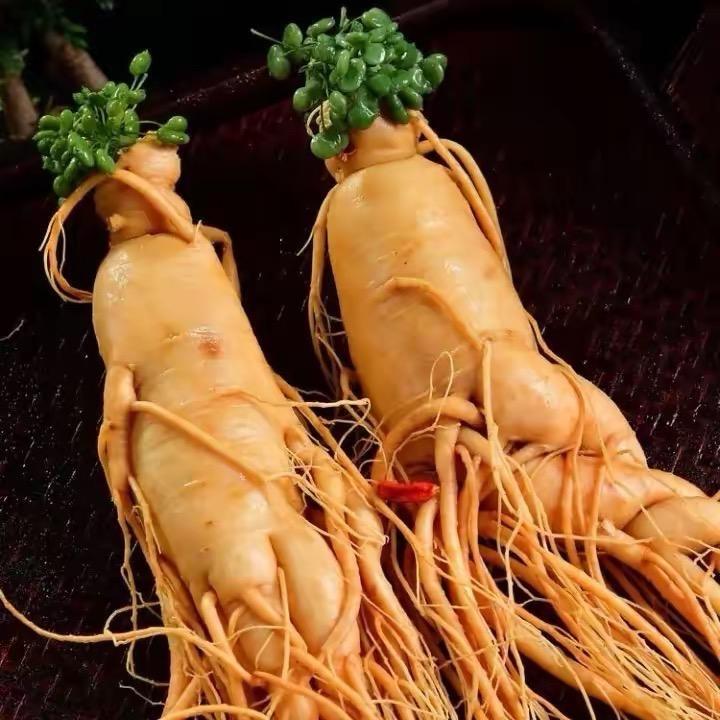 至臻百草堂精品泡酒料