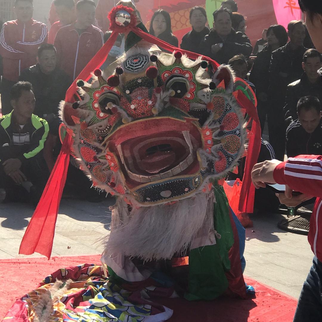 梅隴虎獅癲