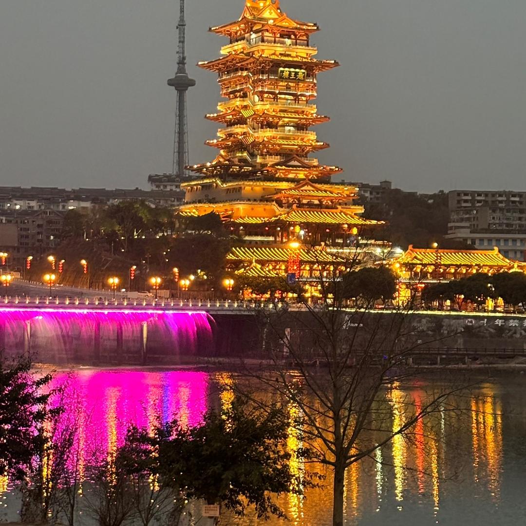 芙蓉