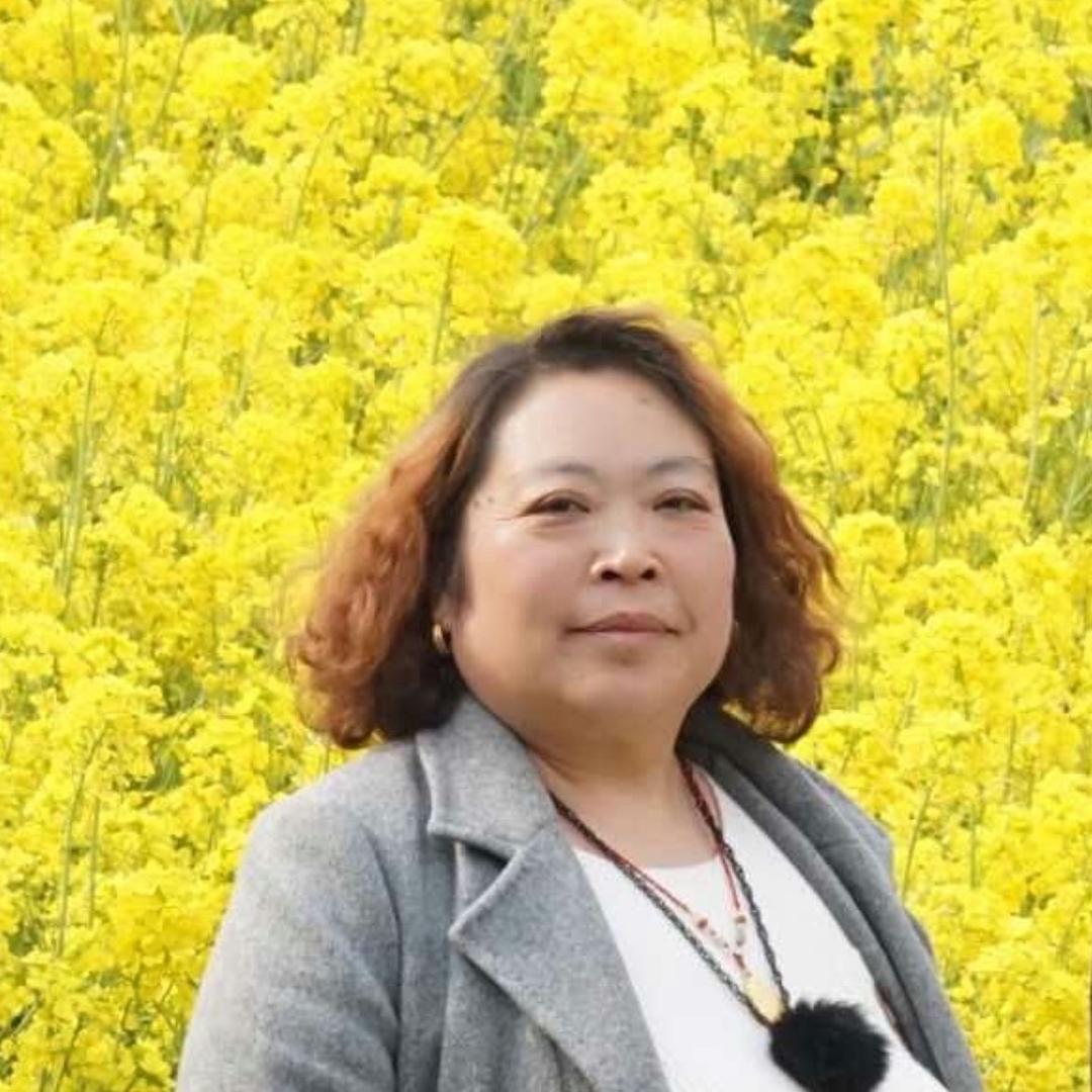 岐伯山老申