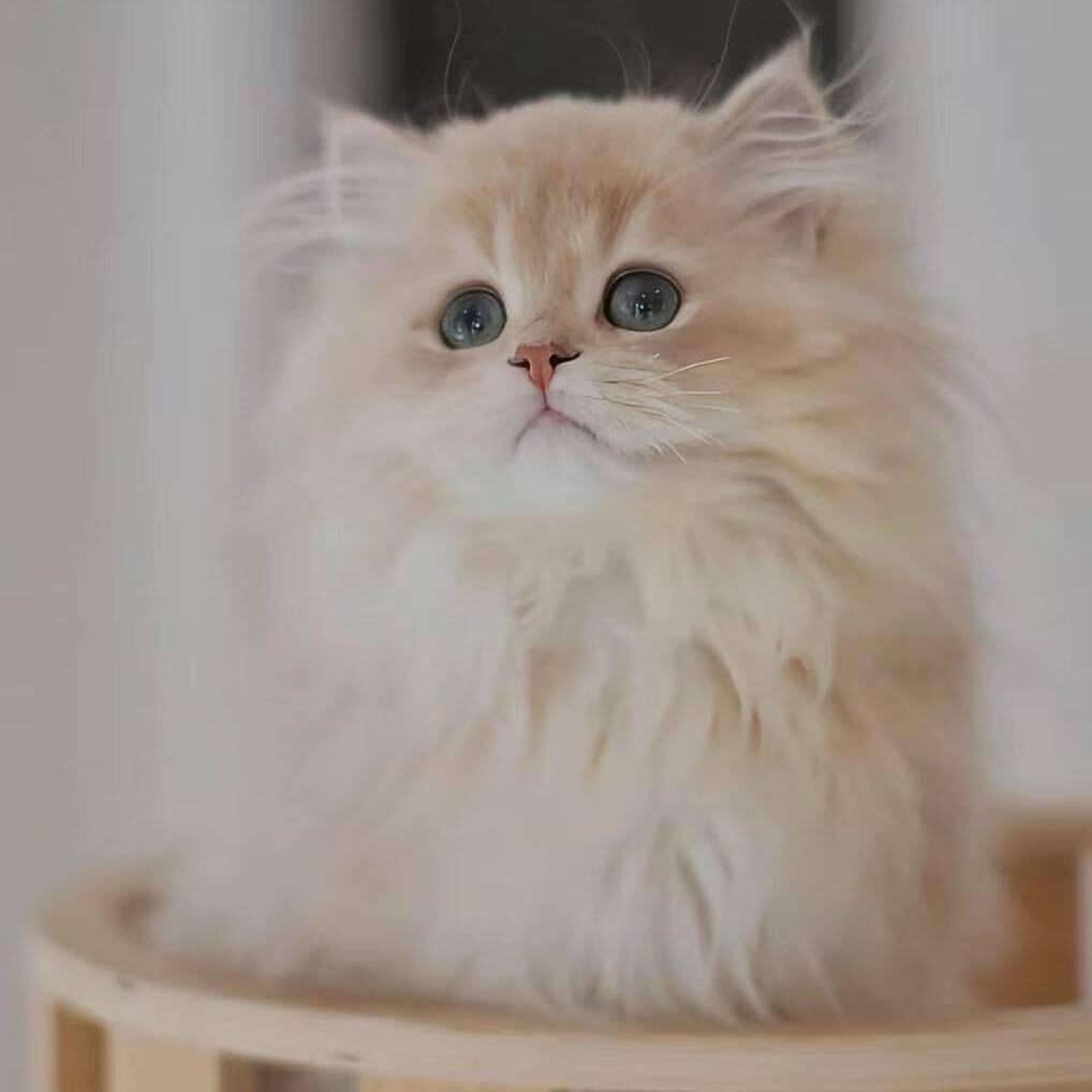 ☀️雨落的黄昏