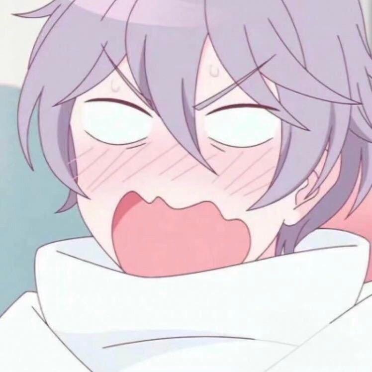 小杨OvO