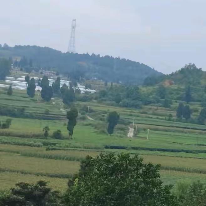 莫卿百货