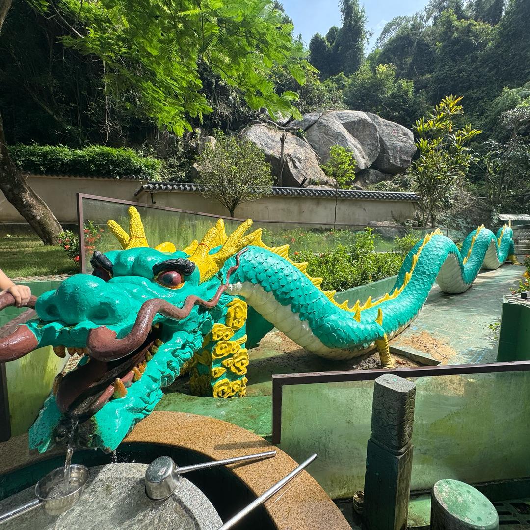 萬寧·萬城·镇南九龍隊🐉