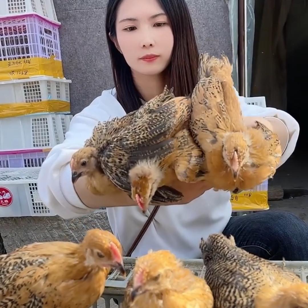 耀利生态农场