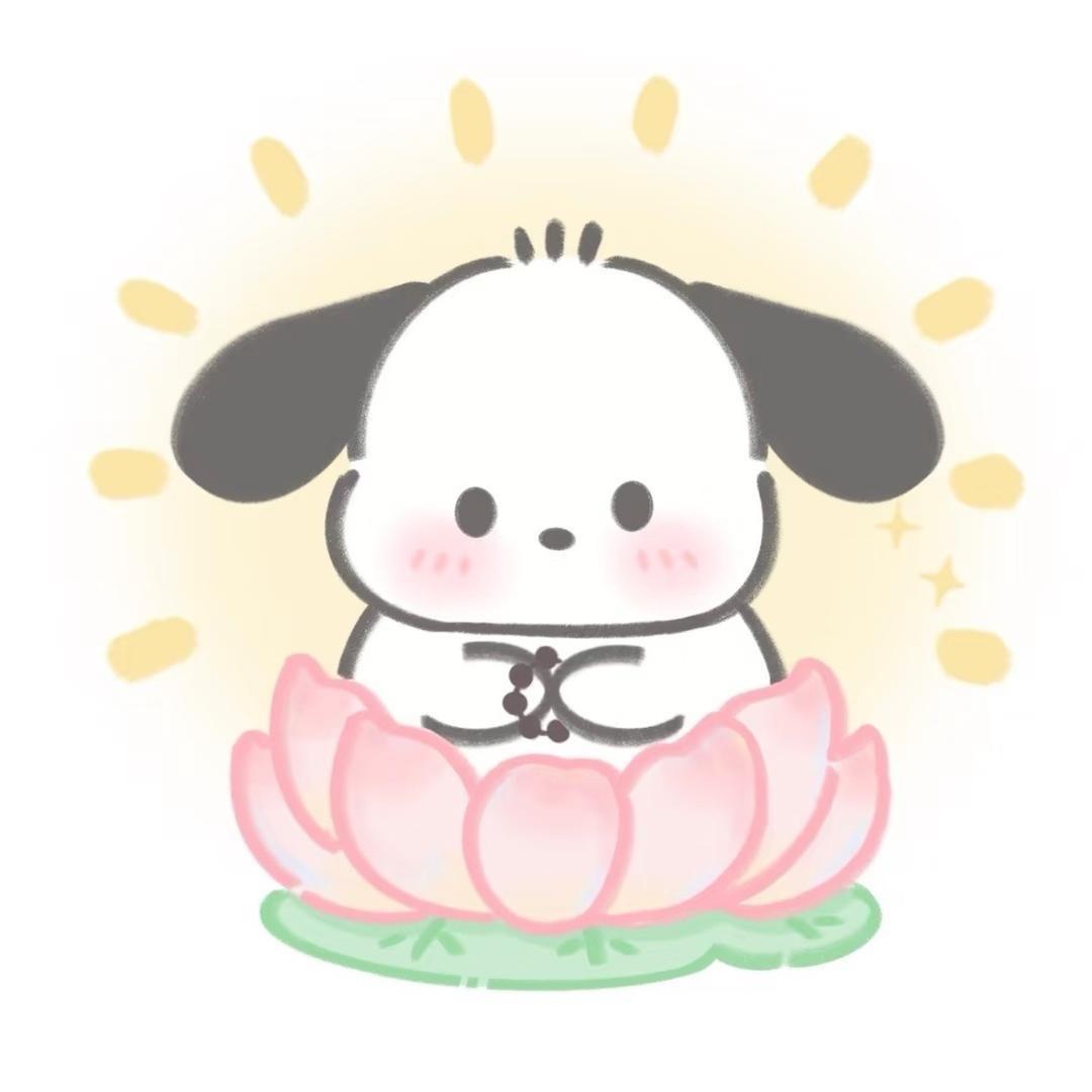 喜宝Bao