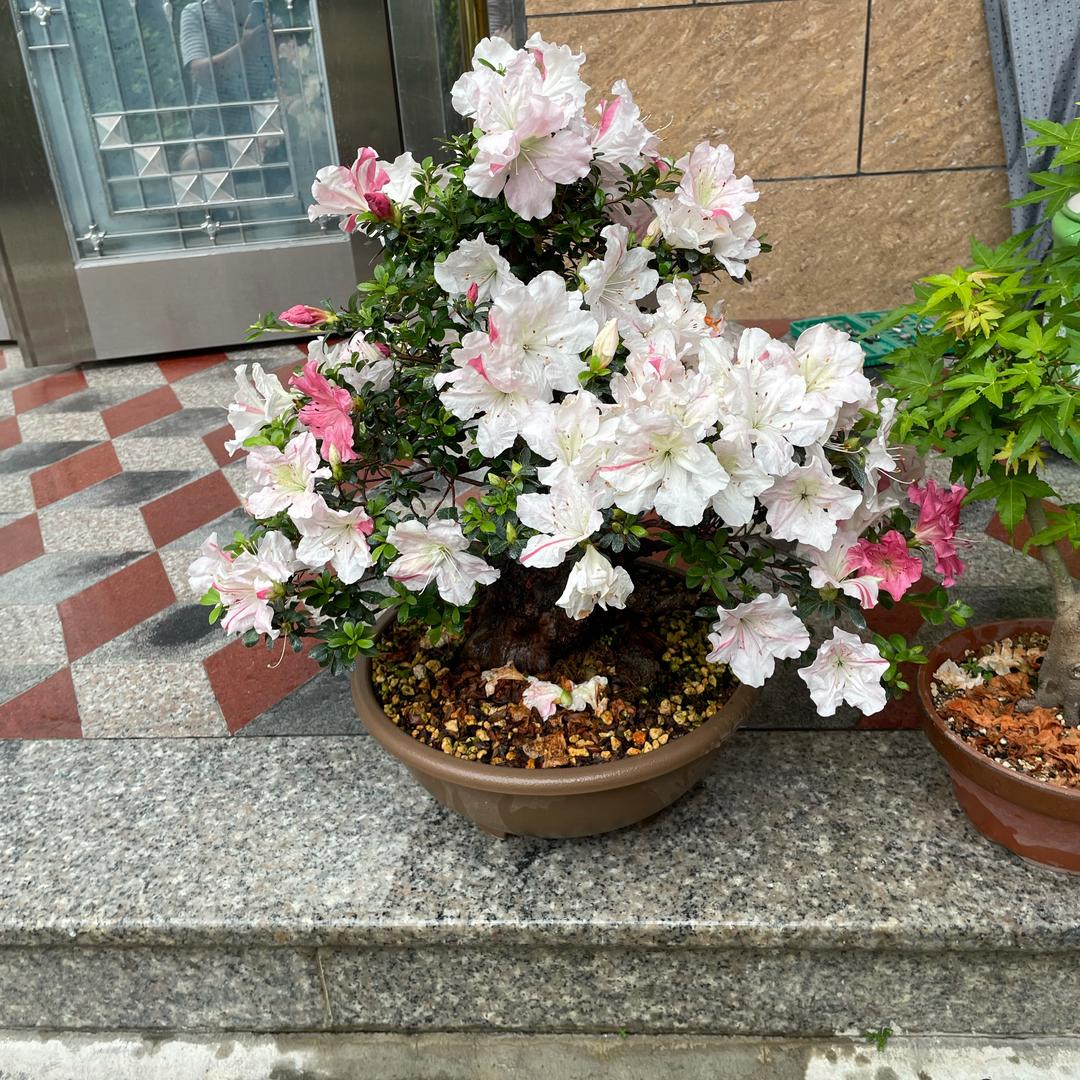 时空行者
