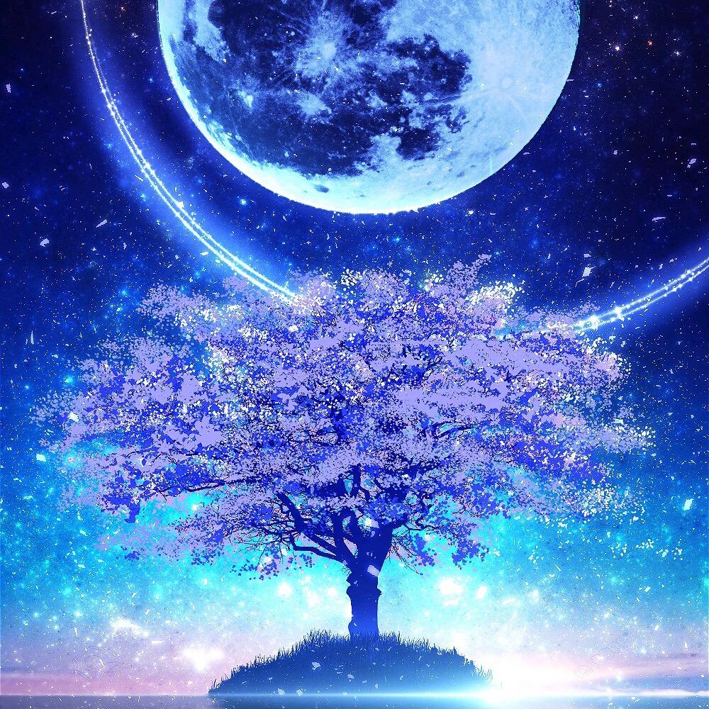 叶子不爱打狙