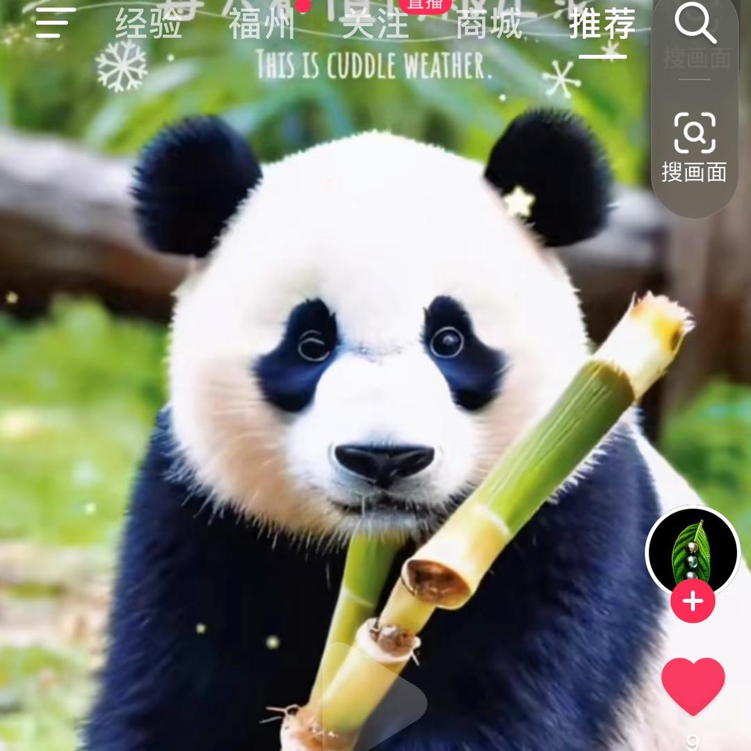 黑黑的妈妈