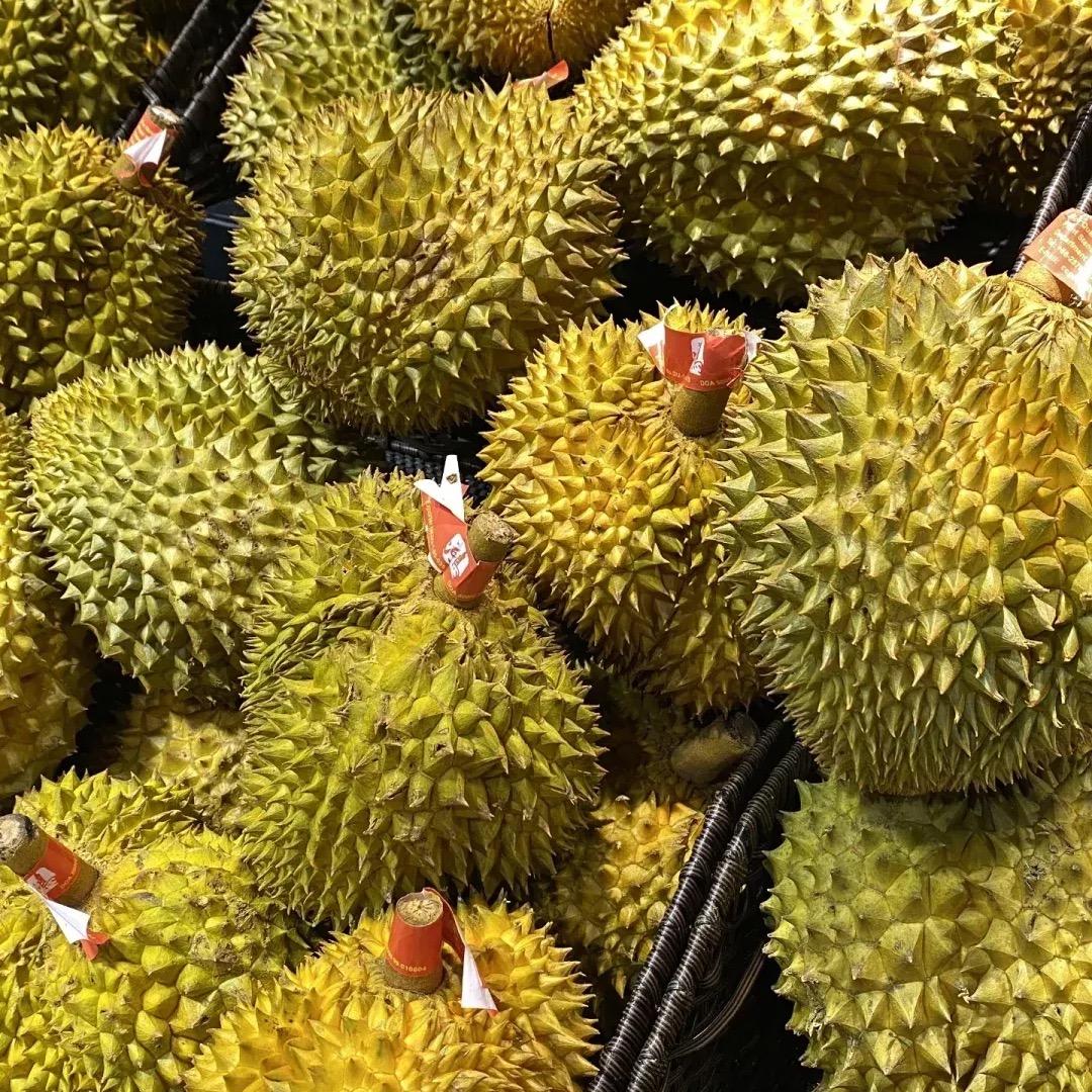 专供榴莲